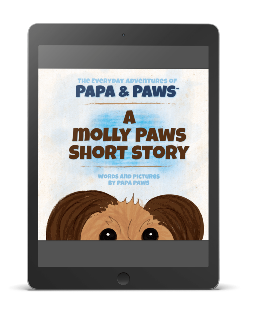 Molly Short StoryEreader Mockup COVERVAULT