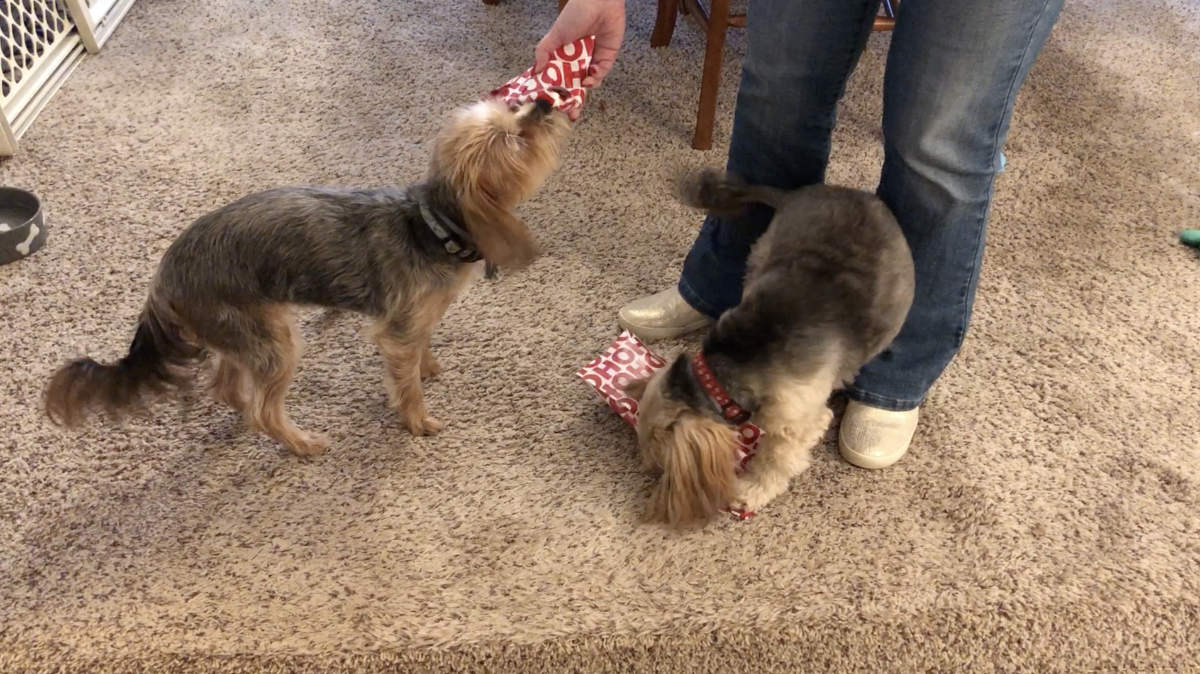 Macy Marley Opening Christmas Gifts 2021